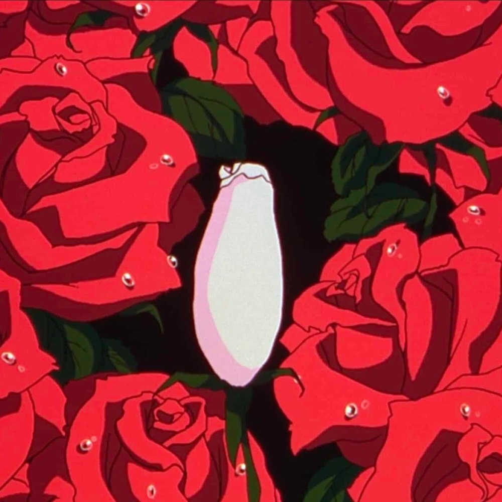 Meet your Posher, Fiza